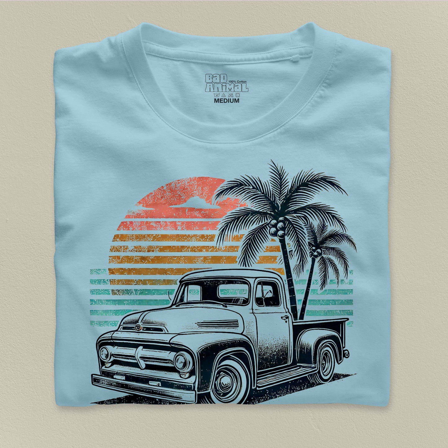 Pick Up Truck