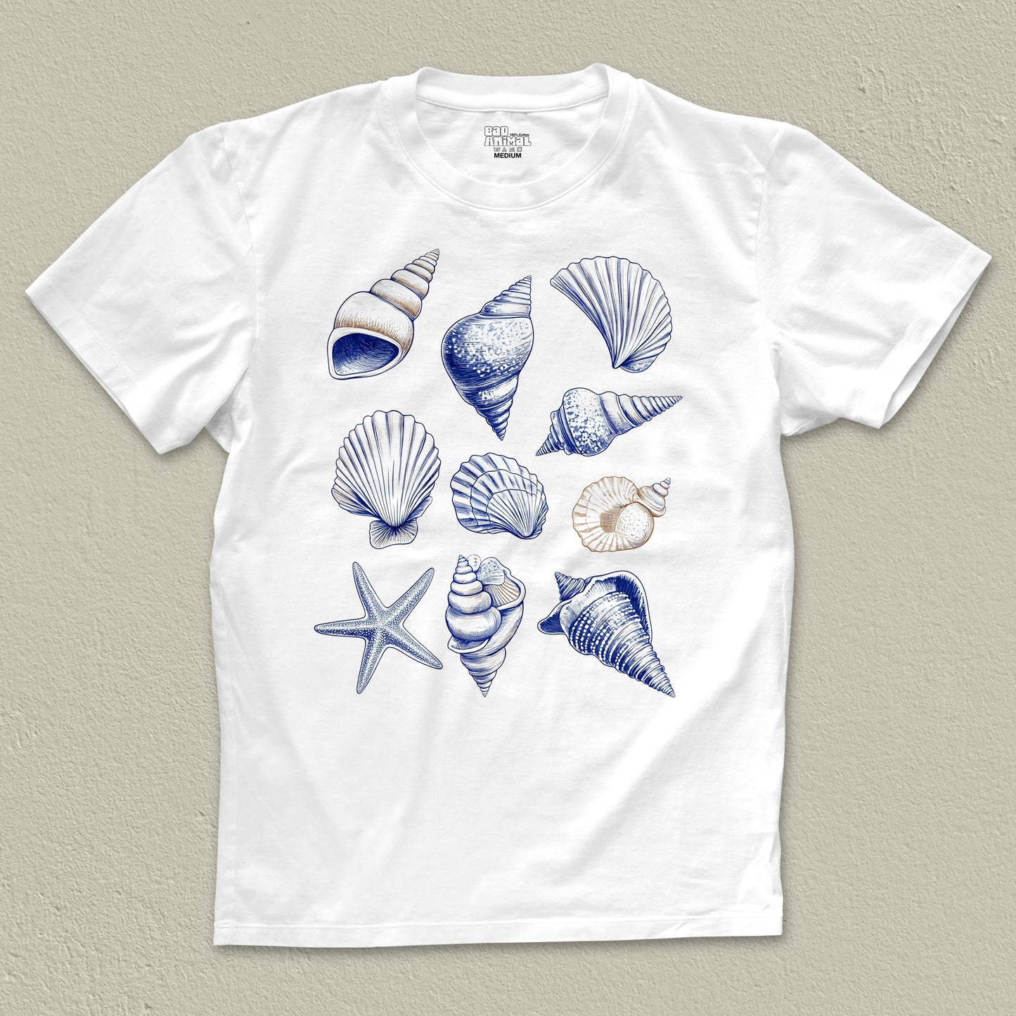 Shells