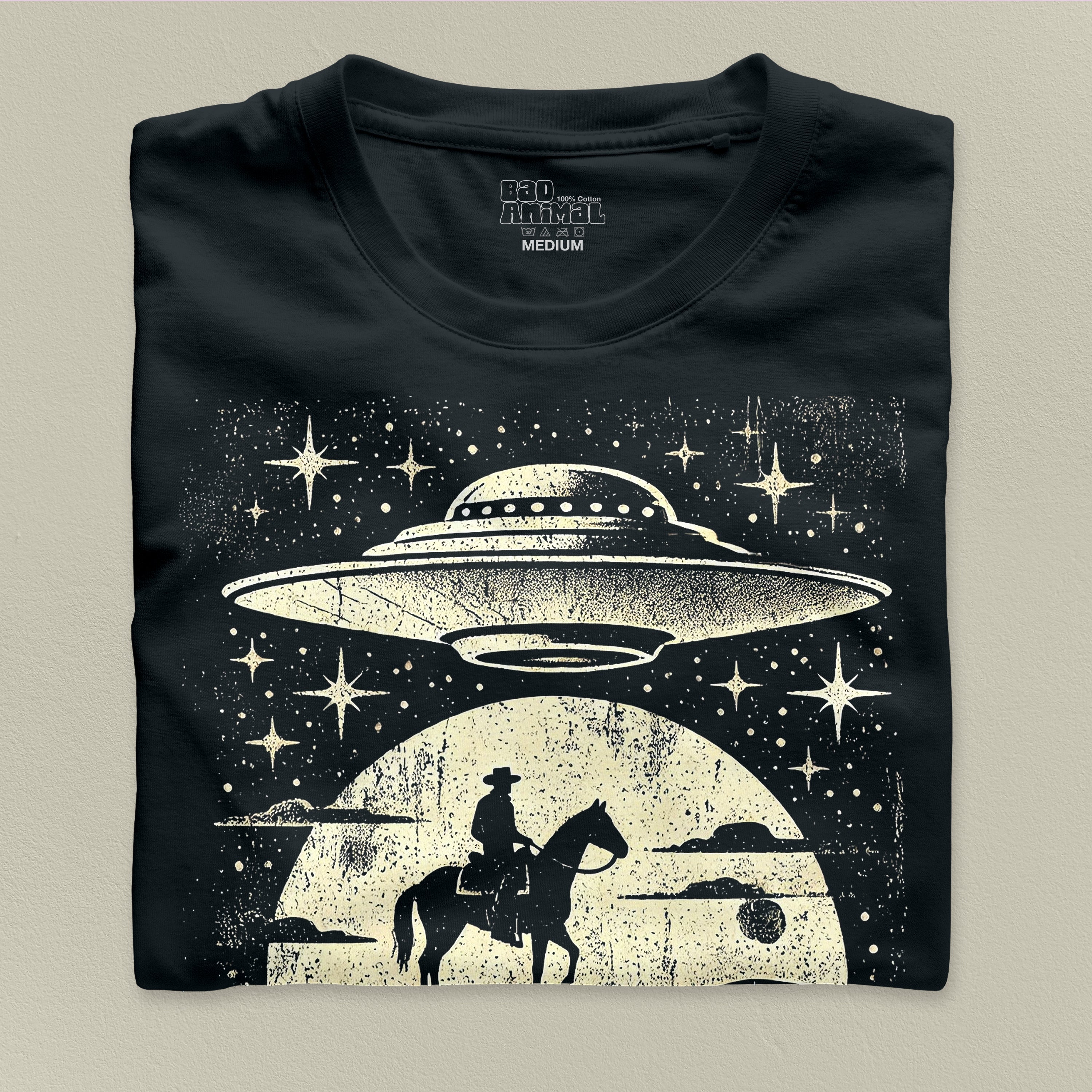 Spaceship And Cowboy