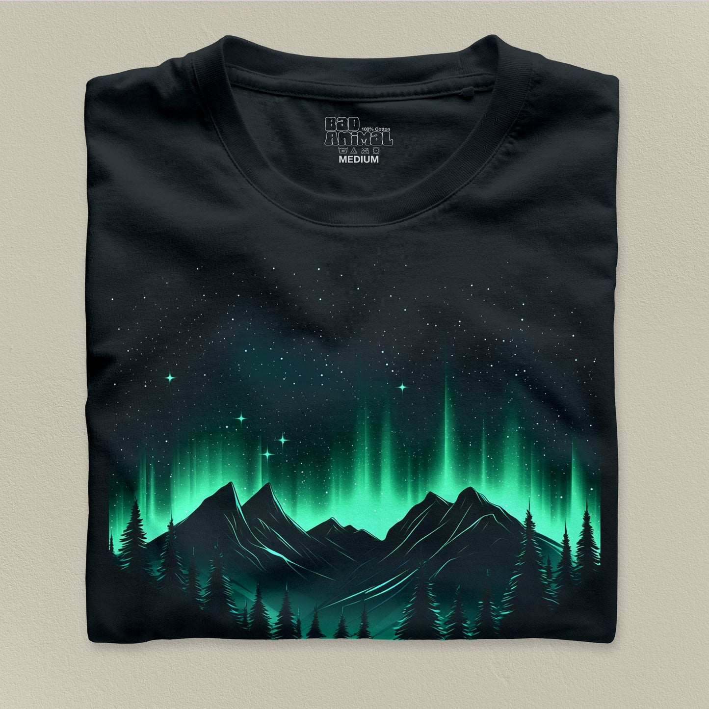 Northern Lights